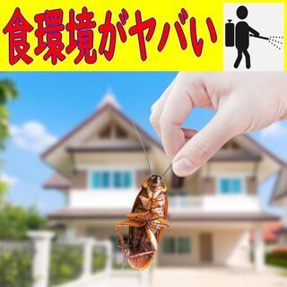 コンビニ食をよく食べる皆様へ　その食事が寿命を縮めているかも！？ 