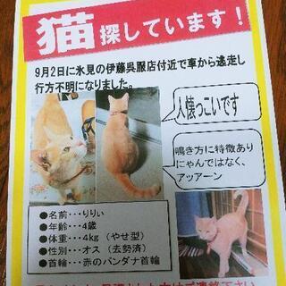 トラ猫 助け合い ジモティー