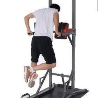 SINTEX(シンテックス)懸垂マシンIII STM056 マット付き