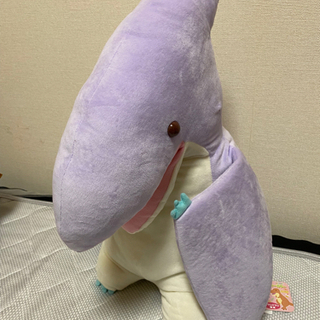 中古プテラが無料 格安で買える ジモティー