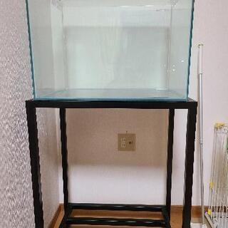 水槽】コトブキレグラスフラットF-600L キャビネットセット 【公式通販】
