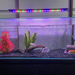 コトブキ水槽90センチ　台　LED 