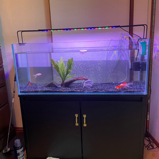 コトブキ水槽90センチ　台　LED 