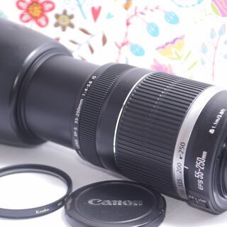 キャノン望遠レンズ☆EF-S 55-250mm手ブレ補正つき☆ www.taxcounting.cz