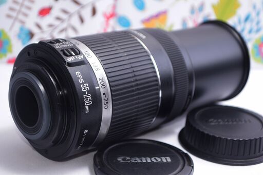 キャノン望遠レンズ★EF-S 55-250mm手ブレ補正つき☆