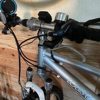 ルイガノジュニア自転車　24インチ