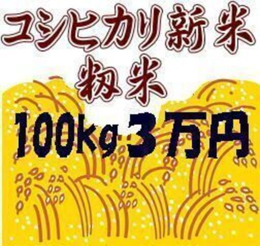 新米コシヒカリ籾米100キロ | www.workoffice.com.uy