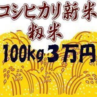 【ネット決済】新米コシヒカリ籾米100キロ