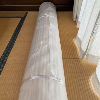 ニトリウッドカーペット江戸間6帖(約260×350cm)色アイボリー
