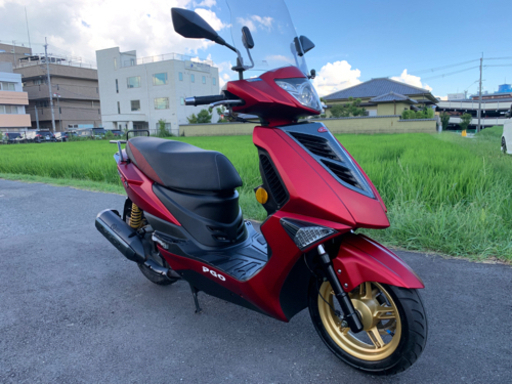 爆速スクーターPGOティグラ168R‼️希少‼️極上美車 爆速スクーターPGOティグラ168R‼️希少‼️極上美車