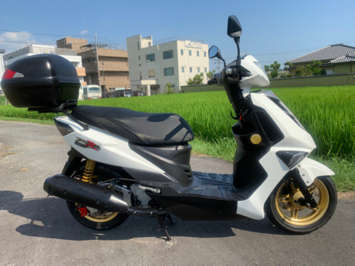 爆速スクーター‼️PGOティグラ150‼️希少です通勤快速に。