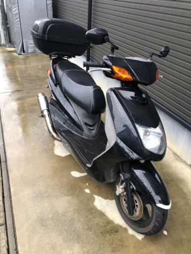 シグナス x se12j | mayberrydental.ie