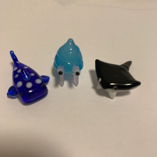 中古ヤドカリが無料 格安で買える ジモティー