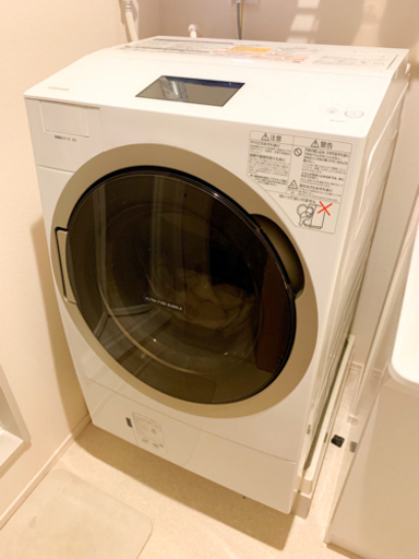 東芝　2019年式ドラム式洗濯乾燥機　12kgの大容量