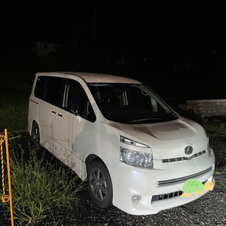 車検来年8月迄