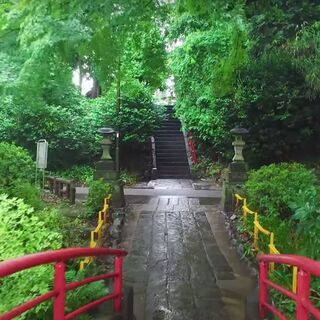 【参加費無料】雨空の下で井の頭公園をお散歩🌳🚶‍♂️🚶‍♀️🌳　Rainy walk in Inokashira Park!　の画像