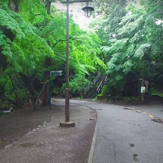 【参加費無料】雨空の下で井の頭公園をお散歩🌳🚶‍♂️🚶‍♀️🌳　Rainy walk in Inokashira Park!　 - 武蔵野市