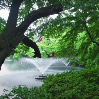 【参加費無料】雨空の下で井の頭公園をお散歩🌳🚶‍♂️🚶‍♀️🌳　Rainy walk in Inokashira Park!　 - パーティー