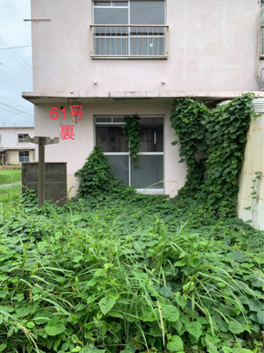 草刈り刈り払い、玄関掃除、簡易高圧洗浄