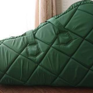 【決まりました】青山サウルハープ 25弦