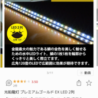アロワナ用 水中LED 値引きしました！