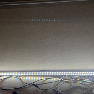 アロワナ用 水中LED 値引きしました！