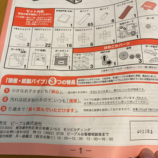 さらに値下げ可能！！頭と体の知育アスレチック プレミアム　ジャングルジム　トイザらス限定