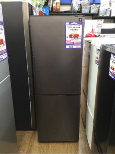 #I-46  【ご来店頂ける方限定】SHARPの冷蔵庫です！　271L