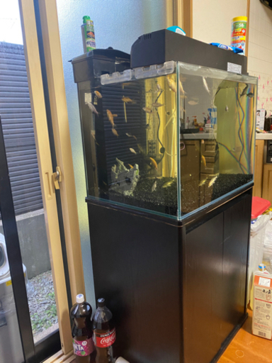 水槽下台付き