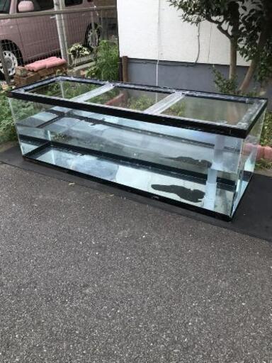 オーバーフロー水槽　180センチ　大型