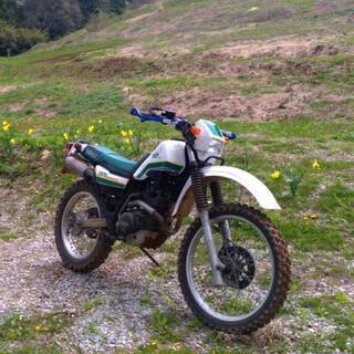 セロー225 1KH（2LN）書類あり