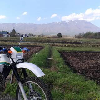 セロー225 1KH（2LN）書類あり