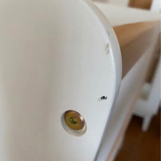 リリワゴンⅡ ホワイト