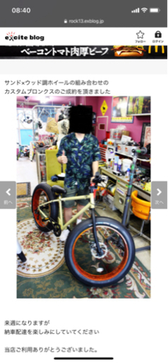 BRONX ファットバイク サンドXウッド調 カスタムブロンクス