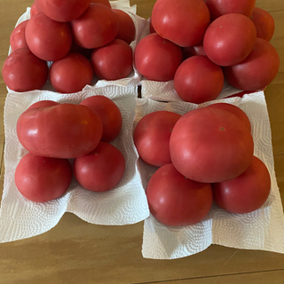 農家さんトマト　1個50円