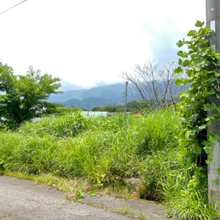 🔸成約済🔸マキノ　自然豊かな別荘用地　メタセコイア並木近く　50万円
