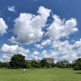 キャッチボールしましょう‼︎ - スポーツ