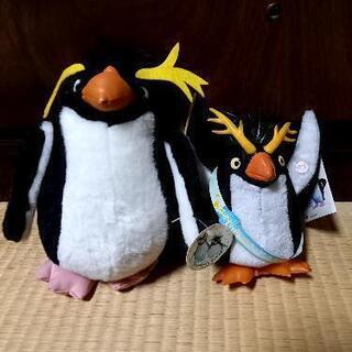 中古イワトビペンギンが無料 格安で買える ジモティー
