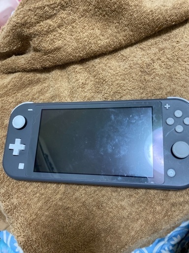 ニンテンドースイッチライト