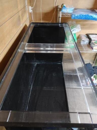 特注アクリル水槽1200美品値下げ | noonanwaste.com