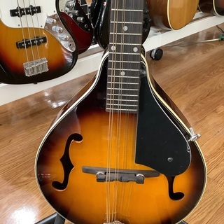 【楽器多数展示中】マンドリン Blanton入荷しました 楽器多数展示中】マンドリン Blanton入荷しました