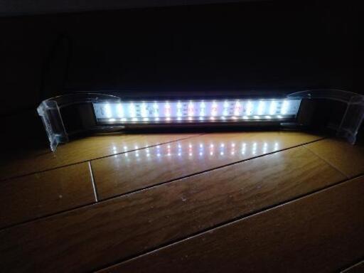 Gex ガラス水槽45cmコトブキ工芸ledライトflat Led3545 Mu 箕面のその他の中古あげます 譲ります ジモティーで不用品の処分
