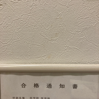 家庭教師　医学部　小中高　リモート可　