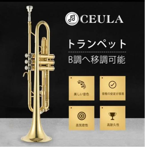 アルトサックス11点セット E Saxophone ゴールドラッカー ケース付き