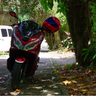 PCX jf81