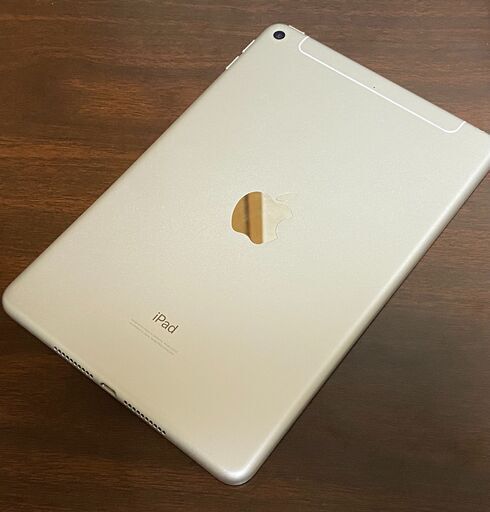 ipad mini5 国内版SIMフリー LTEモデル 64GB + Apple Pencil ＋ 紙の