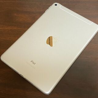 ipad mini5 国内版SIMフリー LTEモデル 64GB + Apple Pencil ＋ 紙のよう