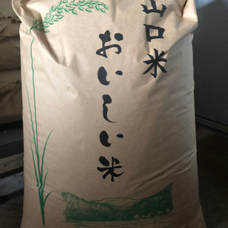 【ネット決済・配送可】下関市　玄米　10kg