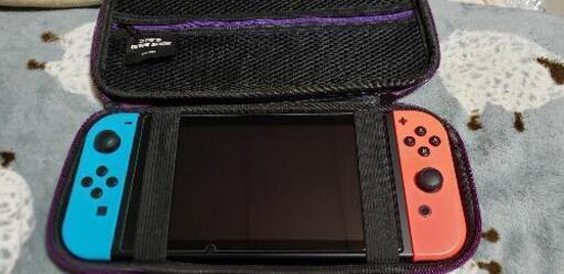 ニンテンドーSwitch　カスタマイズver　あつ森
