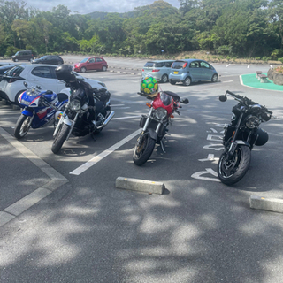 TuesWednes  Touring Team メンバー募集　...